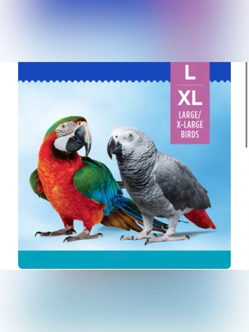 All Living Things® Spinning Fan Bird Bird Toy